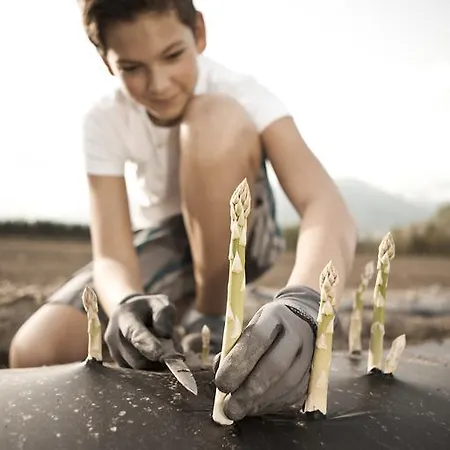 Michelerhof - Kinderfreie Pensión 4*