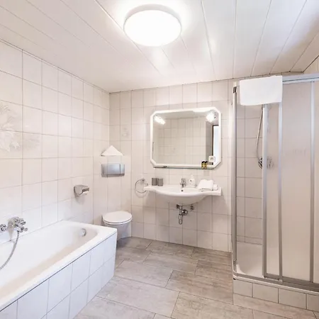 Pensjonat Michelerhof - Kinderfreie Lavant