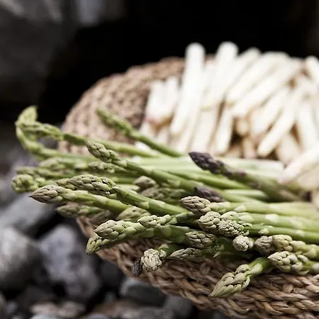 Michelerhof - Kinderfreie Гостевой дом Lavant