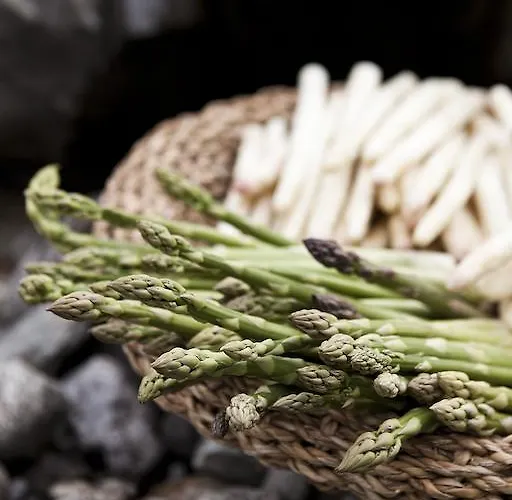 Michelerhof - Kinderfreie Guest house Lavant