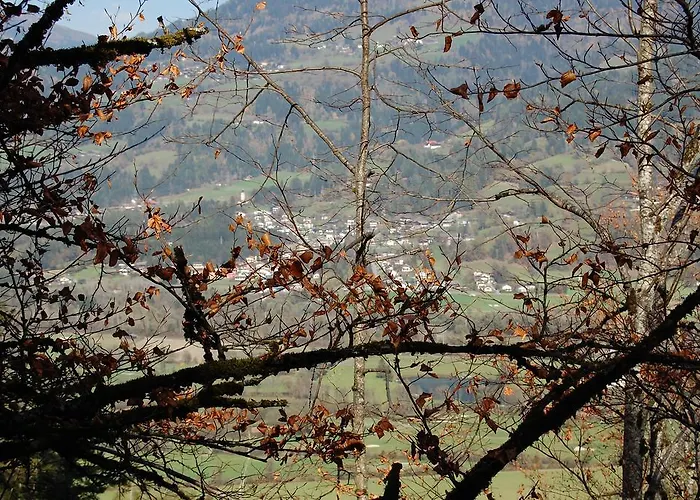 Guest house Michelerhof - Kinderfreie 4*