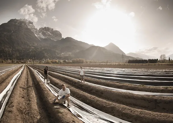 Michelerhof - Kinderfreie Guest house 4*